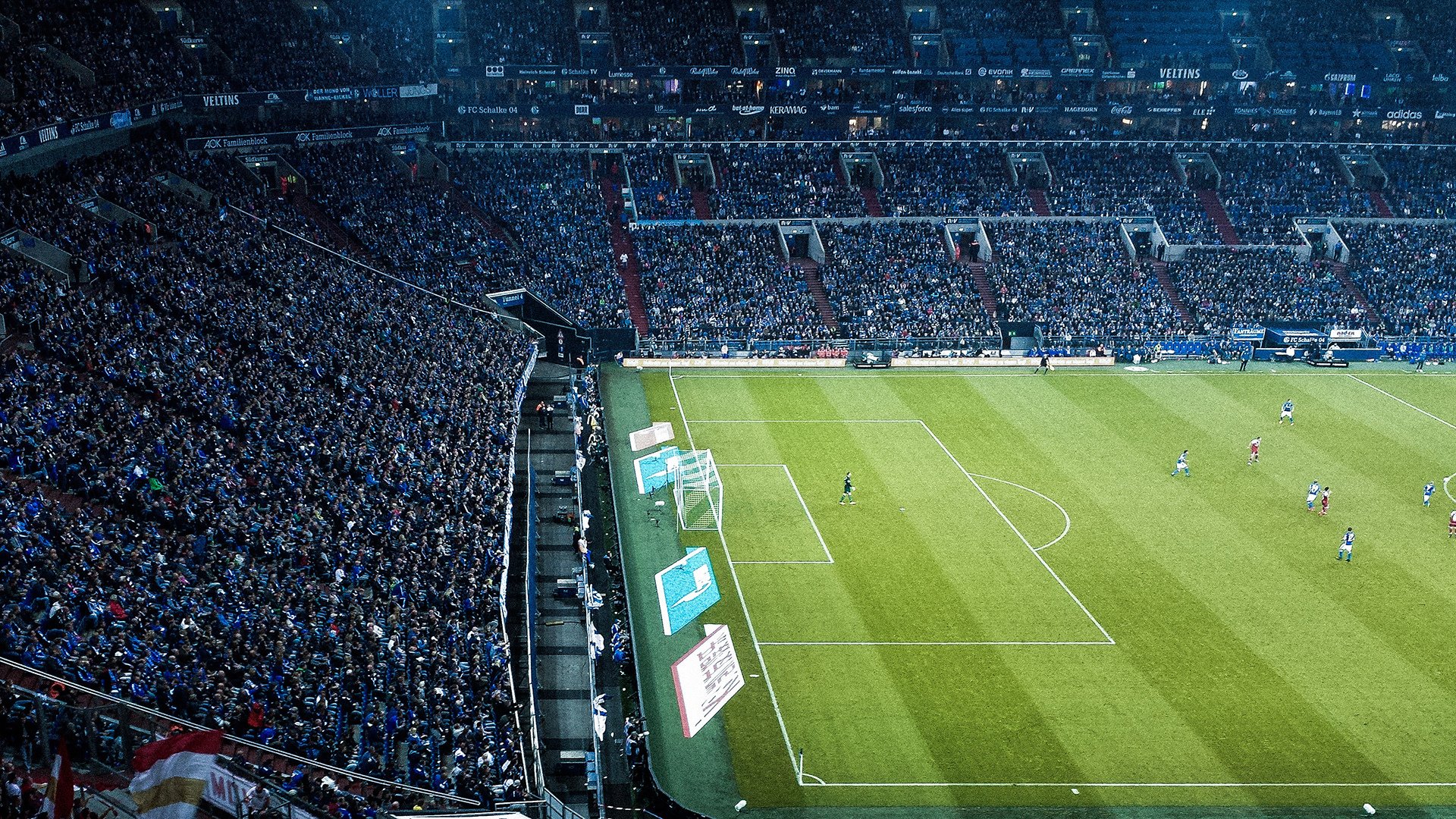 出发弹跳力提升，抢占领先先机，弹跳发力原理